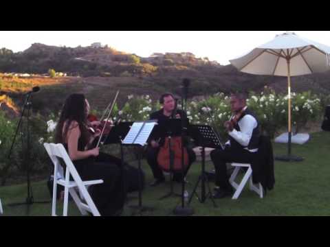 White Wedding (Billy Idol) - Organic String Quartet - Wedding String Quartet