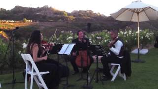 White Wedding (Billy Idol) - Organic String Quartet - Wedding String Quartet