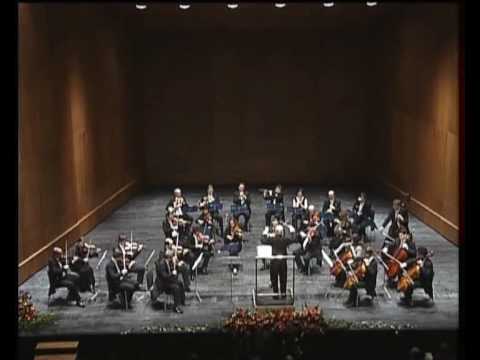 Cuentos de los bosques de Viena - Johann Strauss