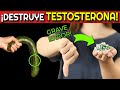 CÓMO AUMENTAR LA TESTOSTERONA EN TU CUERPO| AUMENTA la TESTOSTERONA de MANERA NATURAL
