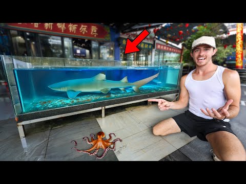 I Bought a MASSIVE Shark… (Illegal Fish Market) 