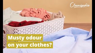How To Remove Damp Smell From Clothes And Get Rid Of Musty Odours | Cleanipedia