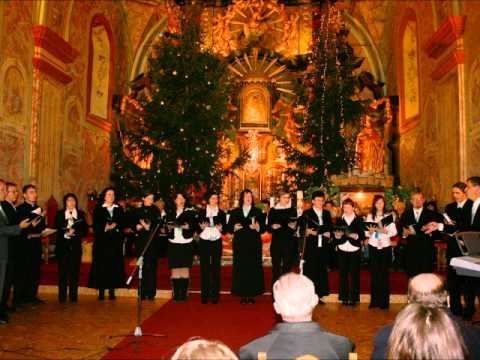 Raduval se Jezuš mali - V. A. Svjetlost (Sveti Juraj na Bregu)