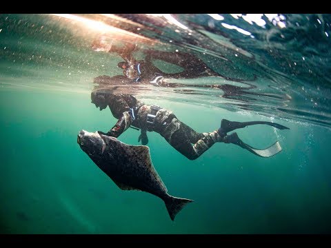 Saltstraumen Norway - A spearfishers paradise