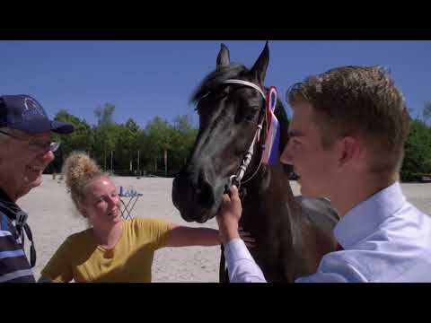 Fokdag &quot;Het Friesche Paard Midden Nederland&quot;