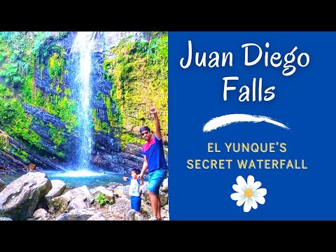 El Yunque National Forest - Hike to Juan Diego Falls | Puerto Rico 2021