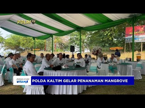 POLDA KALTIM GELAR PENANAMAN MANGROVE
