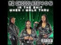 Walk Thru Clean Mzchocolate405