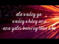 Nancy Ajram- Ana Yalli Bahebak with lyrics 