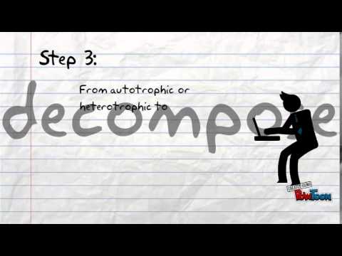 Ciclo da matéria - tradução