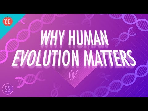 Why Human Evolution Matters: Crash Course Big History 204