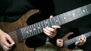 Animals As Leaders - Cognitive Contortions All Guitar Cover