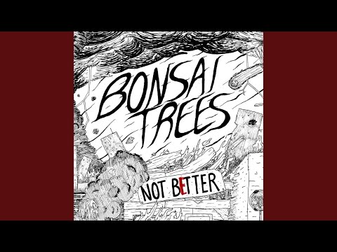 Not Better - Bonsai Trees