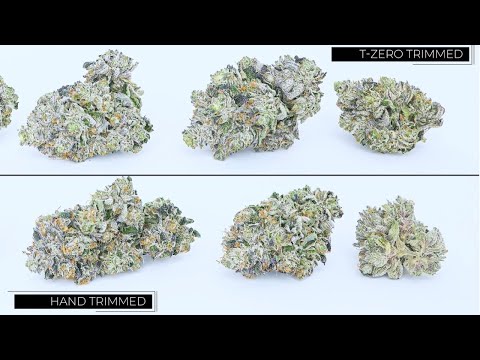 T-Zero Pro Demo (with Lab Results)