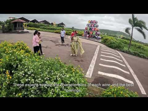Sula Vineyards & Go-Karting Adventure | Nashik Travel Vlog