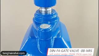 gate valve youtube video