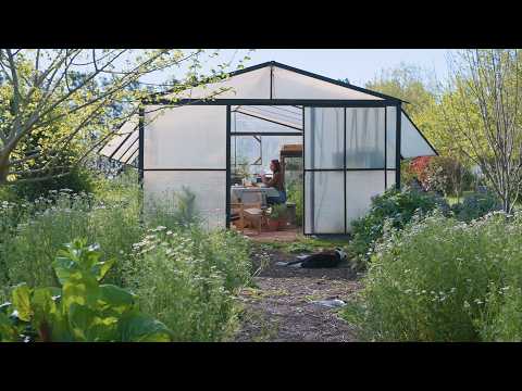 nuestro INVERNADERO | cómo lo hicimos y qué cambiaríamos