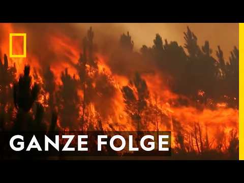 Video Thumbnail: Inferno in Portugal - Ganze Folge | Im Angesicht der Katastrophe