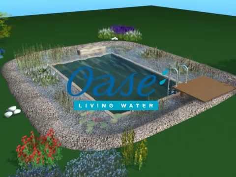 Watch Video on YouTube