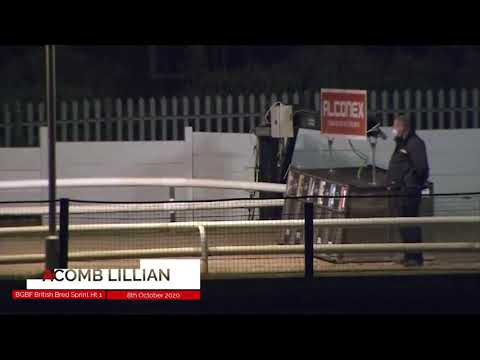 Acomb Lillian - BGBF British Bred Sprint - Heat One