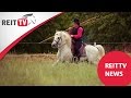 Das Camargue Pferd Homestory Michael Jung Und LED Ponys Die REITTV News