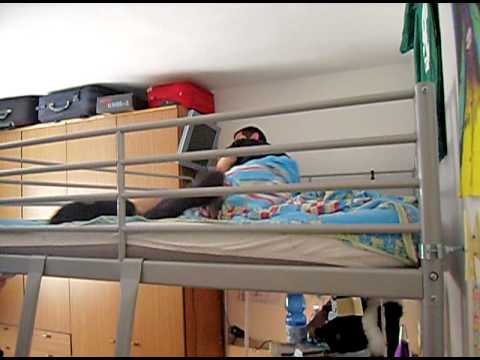 filippo agne sveglia al chiaror del mattin