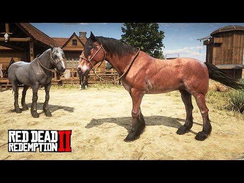 THE HORSE TAMER - Taming WILD MUSTANGUE - Red Dead Redemption 2 - 09