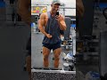 massive arm pump on chest day