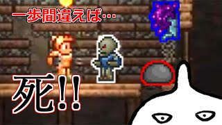 【Terraria】マスターハードコア その3～地下は危険がいっぱい編【テラリア】