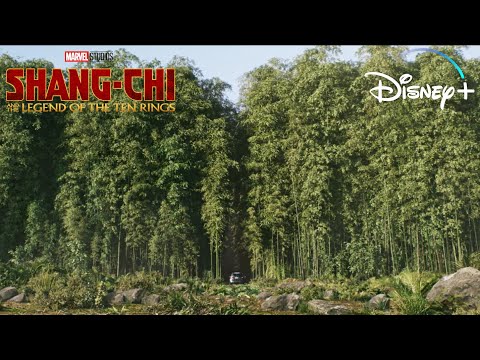 Ta Lo Forest car scene | Shang-Chi and The Legend of The Ten Rings (2021)