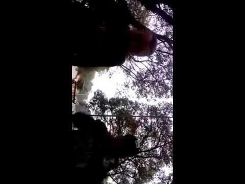 mc maykinho pqb mc xandynho PART 2