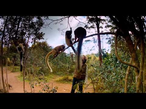 Island of Lemurs: Madagascar IMAX® TV Spot