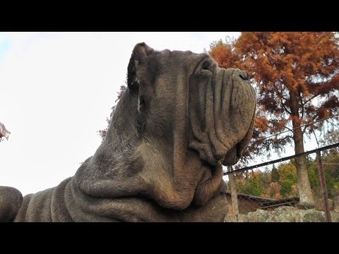 {$row[$i]['name'], ENT_QUOTES,'utf-8'); ?>