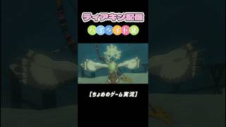 嵐を呼ぶ全力ゼルダ。#ゼルダの伝説 #ゼルダ #ティアーズオブザキングダム #ティアキン