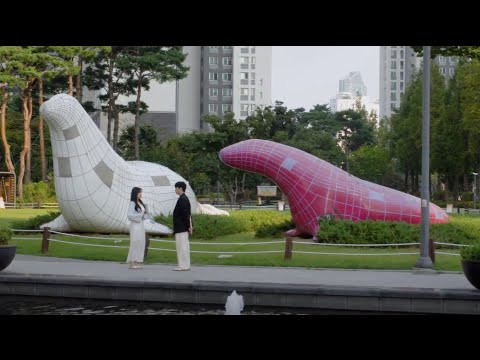 비디오 6