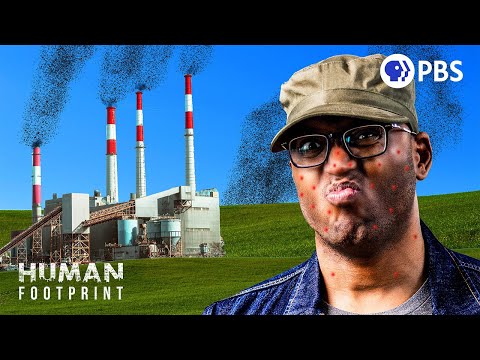 I Visited a Mosquito Factory