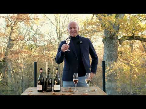 A day in a Champagne Experts life 5.0 - Philipponnat