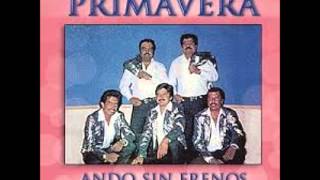 Conjunto Primavera Disco completo Ando sin frenos 1989