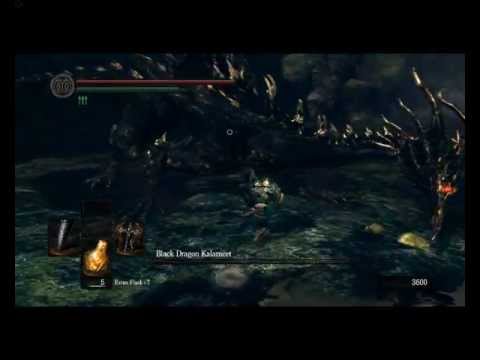 Dark souls - Black Dragon Kalameet Boss Guide NG+