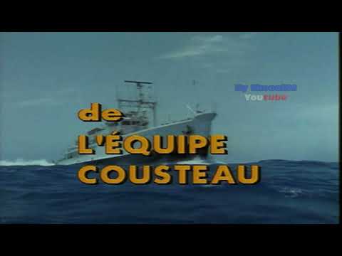(Doc) L'odyssée Sous - Marine de l'équipe Cousteau "Le Retour Des Eléphants De Mer [1990]