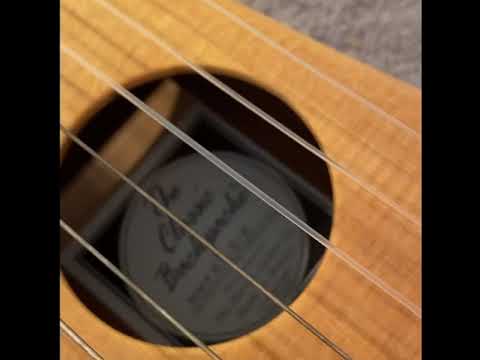 Martin Backpacker with a top crack