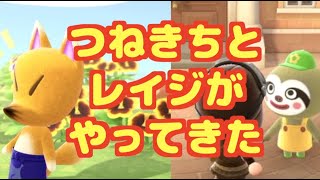 【あつ森】つねきちとレイジとご対面【美術品は本物？】