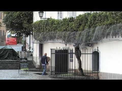 Maribor In Your Pocket - The Old Vine & The Old Vine House