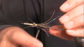 Tying the red Francis Conehead