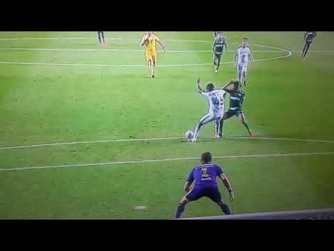 GOL DO PALMEIRAS X AMERICA MINEIRO ,RONY MARCOU