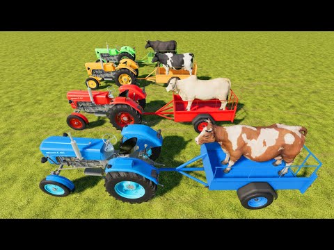 Old Tractors off Colors | Transporting Cows & Animal Feeding on Four Farms | Farm Simulator