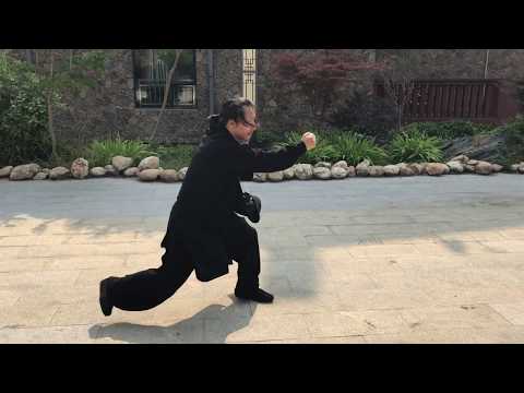 Wudang Kung Fu Tiger Fist by Master Zheng