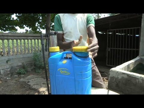 Indien: Tödliche Pestizide bedrohen Baumwollbauern