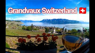 Grandvaux Switzerland 🇨🇭 Gopromax  HD  4K  B
