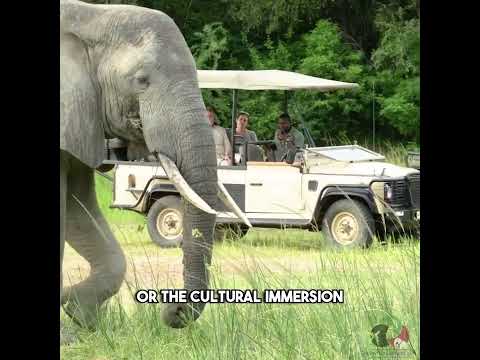 7 Days Best of Tanzania Safari and Zanzibar Beach Holiday